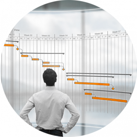 project management services